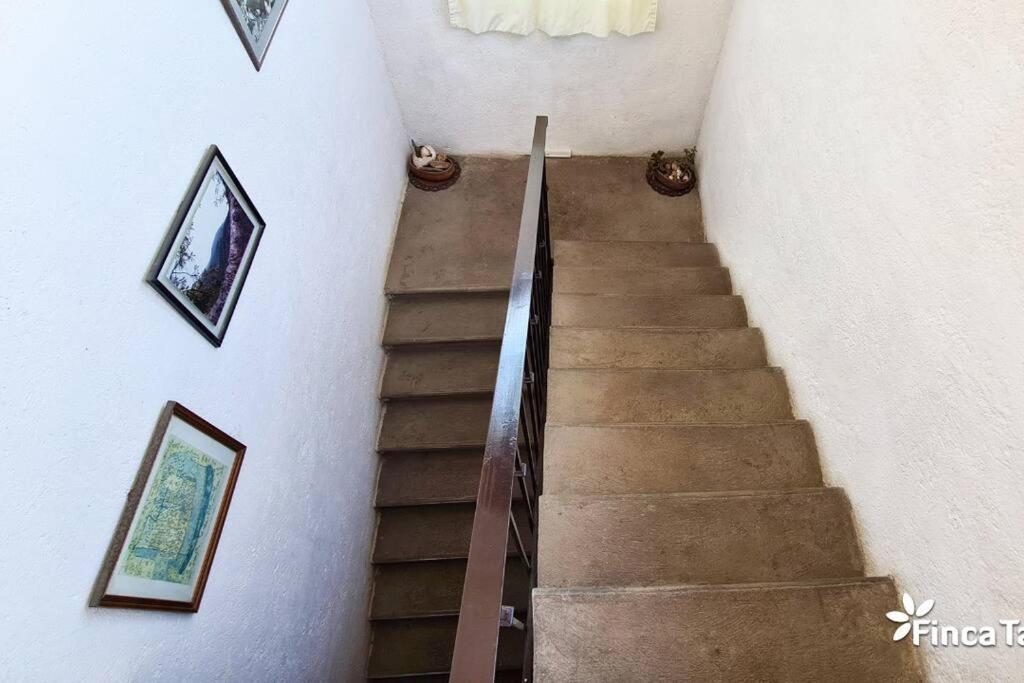 Finca Taino. Hermosa Casa Con Alberca ヒウテペック エクステリア 写真